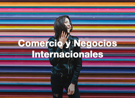 Comercio y Negocios Internacionales